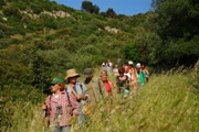 Clicca qui per vedere l'immagine in dettaglio